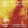 Who Are You? (2020 Year Ed.)