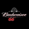 Budweiser Brew '66'