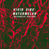 Vivid Vibe: Watermelon