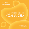 Method Fermented Kombucha W/ Sea Buckthorn & Ginger