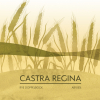 Castra Regina