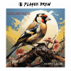 Goldfinch