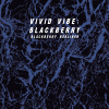 Vivid Vibe: Blackberry
