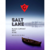 SALT LAKE | black currant • mint