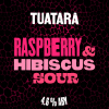 Raspberry And Hibiscus Sour