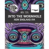 Into The Wormhole