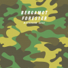 Bergamot Forester