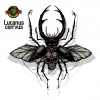 Lucanus Cervus 