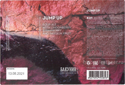 Этикетка пива JUMP UP от пивоварни Бакунин. Изображение №1 (фото: Андрей Атаевв)