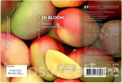Этикетка пива In Bloom от пивоварни Бакунин. Изображение №1 (фото: Андрей Атаевв)