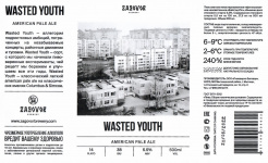 Этикетка пива Wasted Youth от пивоварни Zagovor Brewery. Изображение №2 (фото: Андрей Атаевв)