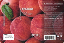 Этикетка пива Peach Up от пивоварни Бакунин. Изображение №1 (фото: Андрей Атаевв)