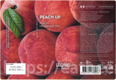Этикетка пива Peach Up от пивоварни Бакунин. Изображение №1 (фото: Андрей Атаевв)